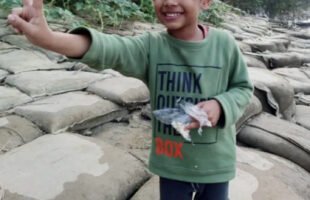 গৌরনদীতে দাদা বাড়ি বেড়াতে এসে খুন হলো শিশু সাফওয়ান, আটক ২